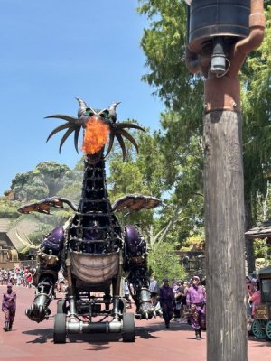 IMG_4535.JPEG