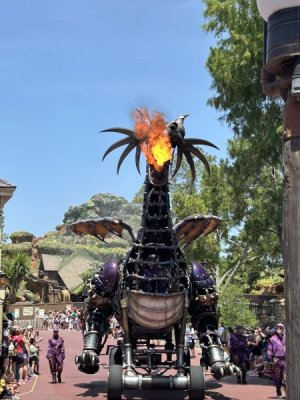 IMG_4537.JPEG