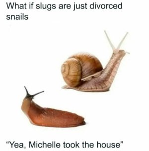 funny-random-memes-satisfydaily-2-672898a2cd2aa__700.jpg