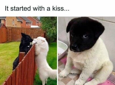 funny-random-memes-satisfydaily-23-672a06dce98ca__700.jpg