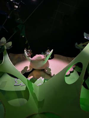 IMG_4552.JPEG