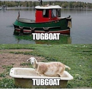 IMG_3899.jpeg