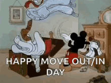 1731075663135.gif