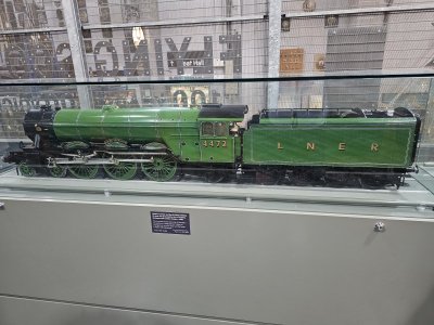 1731108229054.jpeg