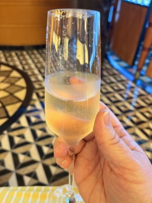 sparkling wine #1.jpeg sparkling wine #1.jpeg