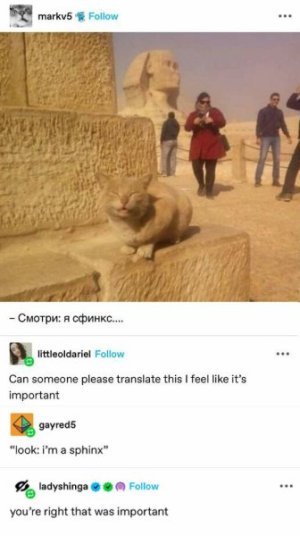 emotional-support-wholesome-memes-9-671760597d398__700.jpg