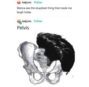 emotional-support-wholesome-memes-671743da5dfcb__700.jpg