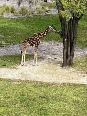 IMG_0281.jpeg