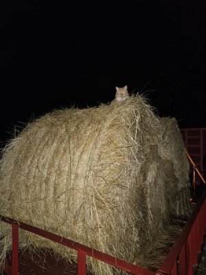 20241110_220240.jpg