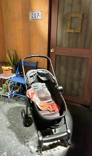 IMG_1919.jpeg