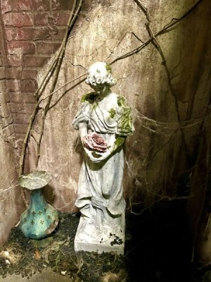IMG_1953.jpeg