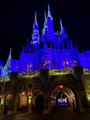 IMG_0102.jpeg