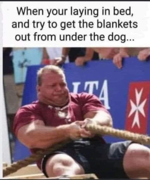 1731544114043.png