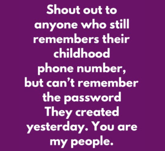 Screenshot 2024-11-14 at 12.10.52 PM.png