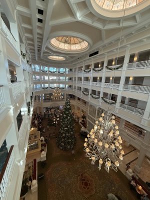 IMG_0118.jpeg