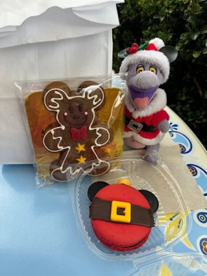 IMG_4135.jpeg