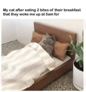 IMG_6836.jpeg