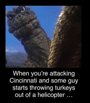 Image 2.jpeg