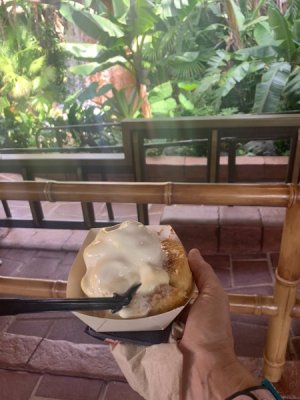 IMG_6436.JPEG