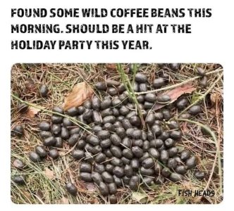 wild coffee beans.jpg