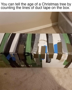 1732058495715.png