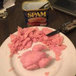 1732058688498.png