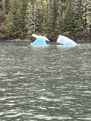 ice.jpeg