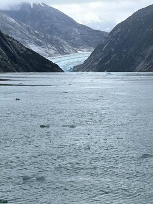glacier field1.jpeg
