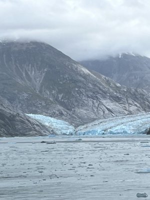Glacier field4.jpeg