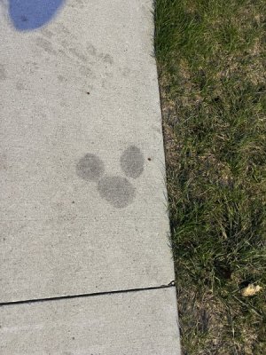 IMG_6536.jpeg