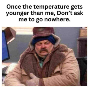 1732163431170.png