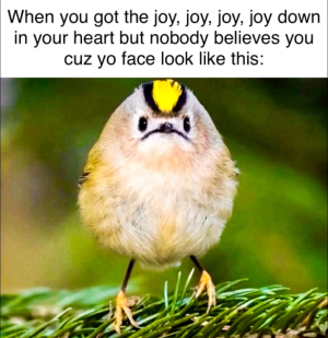 1732163907773.png