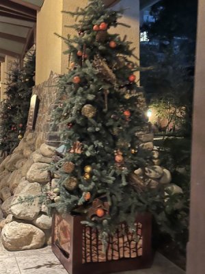 IMG_2228.jpeg