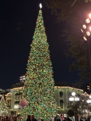 IMG_2230.jpeg