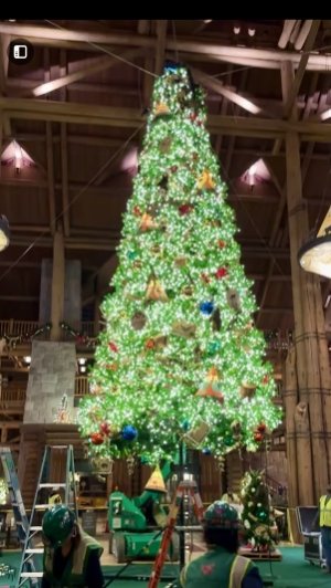 IMG_8808.jpeg
