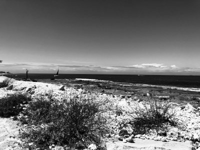 IMG_1896.jpeg