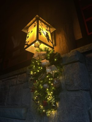 IMG_2425.jpeg