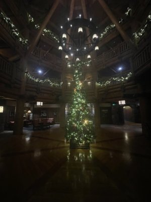 IMG_2448.jpeg