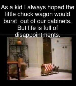 IMG_1041.jpeg