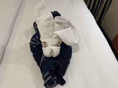 towel animal.jpeg