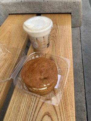 IMG_6485.JPEG