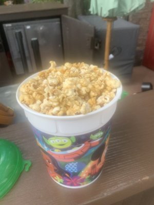 IMG_6526.JPEG