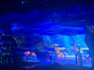 IMG_6536.JPEG