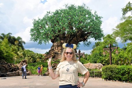 2024-08-21 - Disneys Animal Kingdom Park - The tree of life (3).jpeg