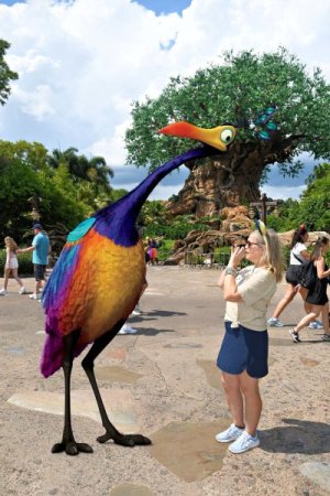 2024-08-21 - Disneys Animal Kingdom Park - The tree of life (2) (1).jpeg