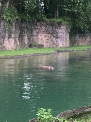 IMG_6541.JPEG