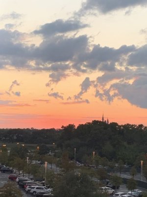 IMG_6548.JPEG