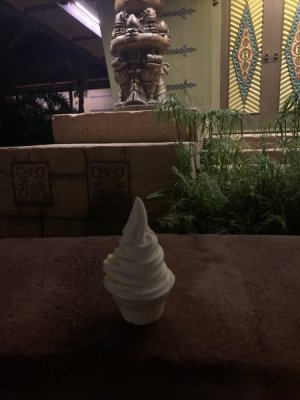 IMG_6556.JPEG