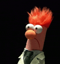 1732453421313.gif