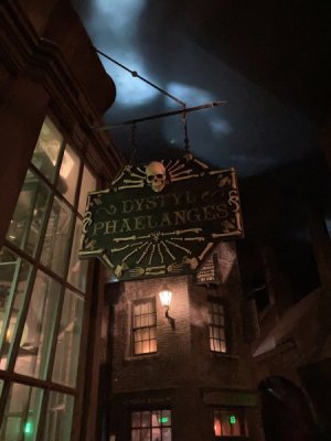 IMG_3545.jpeg